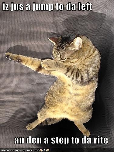 SINCE WE ARE STUCK WITH SPAM...HOW ABOUT CATS