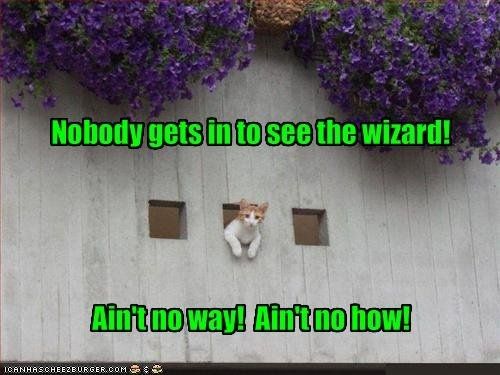YES! I'm seeing more of our posts and less spam!