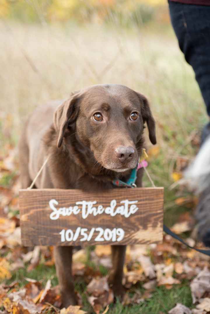 Save the date sign 2