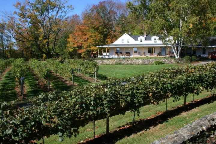 gilmanton winery