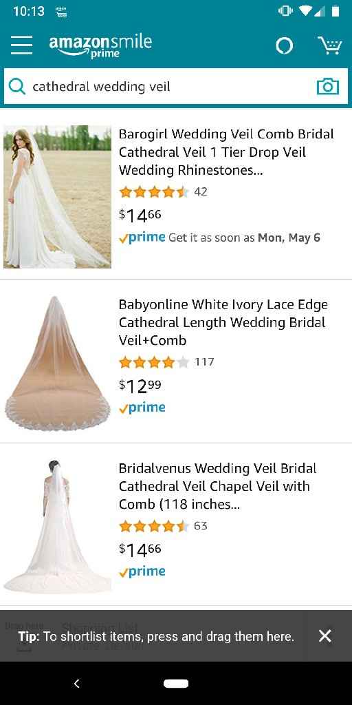 Wedding Veil  help - 2