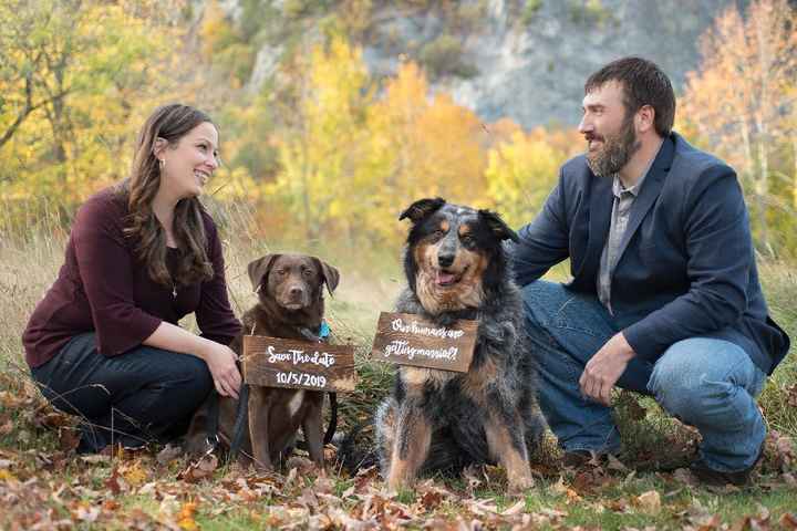 Creative ways to incorporate pets in the wedding? - 1