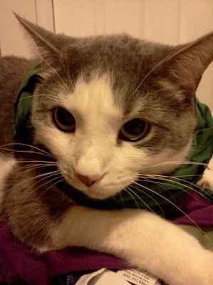 NWR: Show off your fur baby!