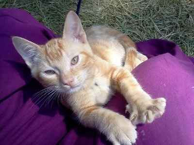NWR: Show off your fur baby!