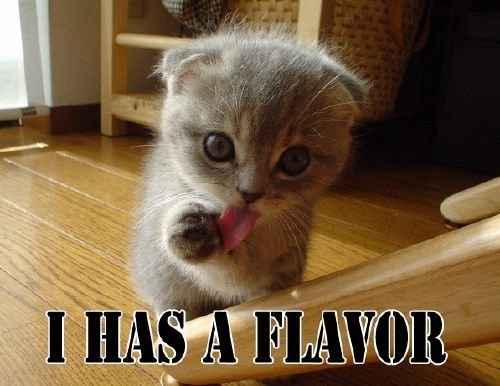 SINCE WE ARE STUCK WITH SPAM...HOW ABOUT CATS