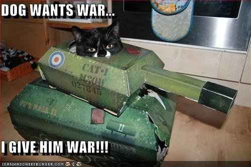SINCE WE ARE STUCK WITH SPAM...HOW ABOUT CATS