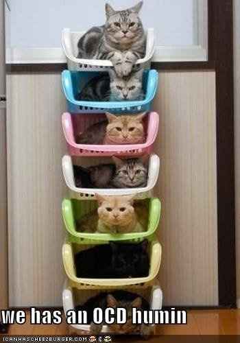 SINCE WE ARE STUCK WITH SPAM...HOW ABOUT CATS