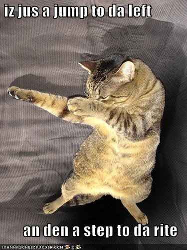SINCE WE ARE STUCK WITH SPAM...HOW ABOUT CATS