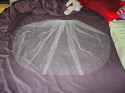 My veil and our rings! **Pics!**