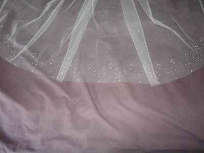 My veil and our rings! **Pics!**
