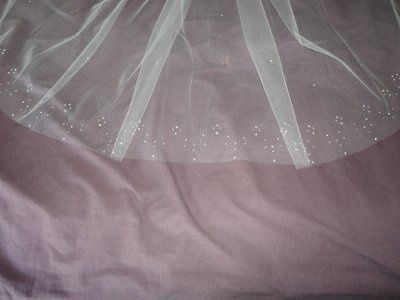 My veil and our rings! **Pics!**