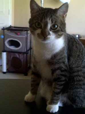 NWR: I want to see your pets!