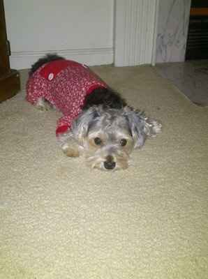 NWR: I want to see your pets!