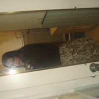 my hair really long!!!!  i dont know if i should keep it up or down?