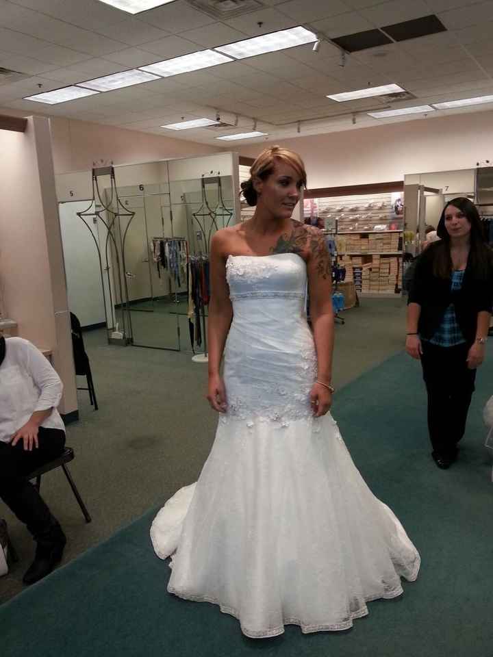 The Dress--Trash the dress update