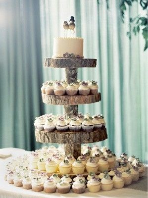 Cake or cupcakes