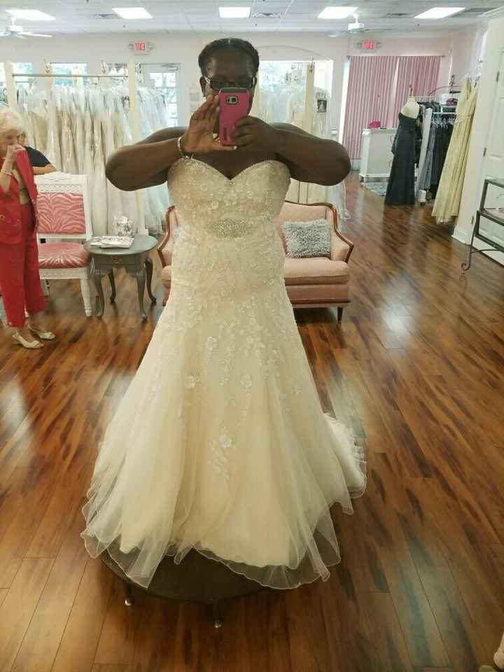 Got the DRESS!