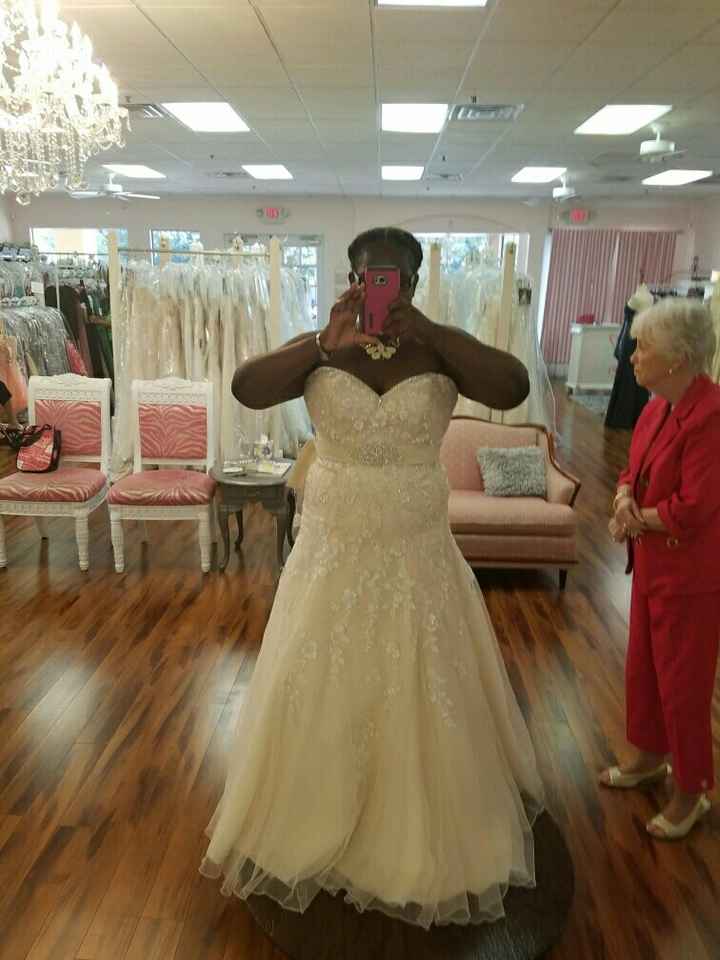 Got the DRESS!