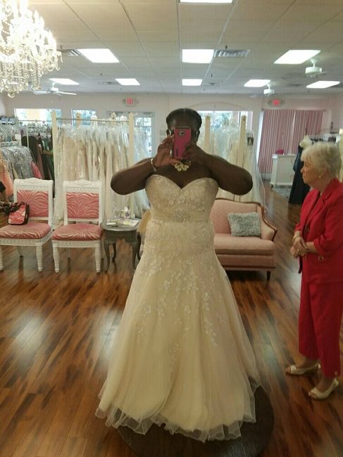 Got the DRESS!