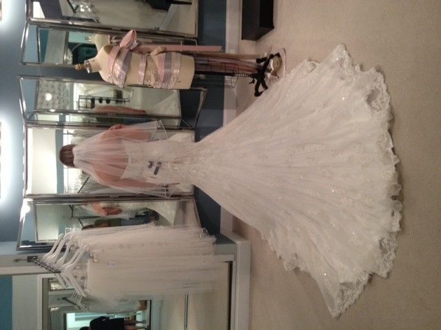 I need help picking a dress!!!!