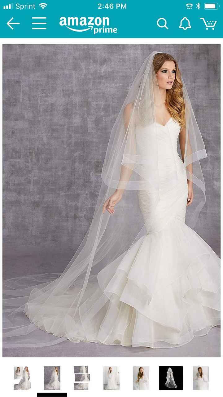 Veil - 1