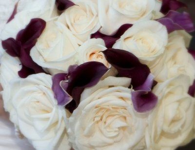 Decided to go with white calla lillies for DIY bouquets, but need accent flowers.
