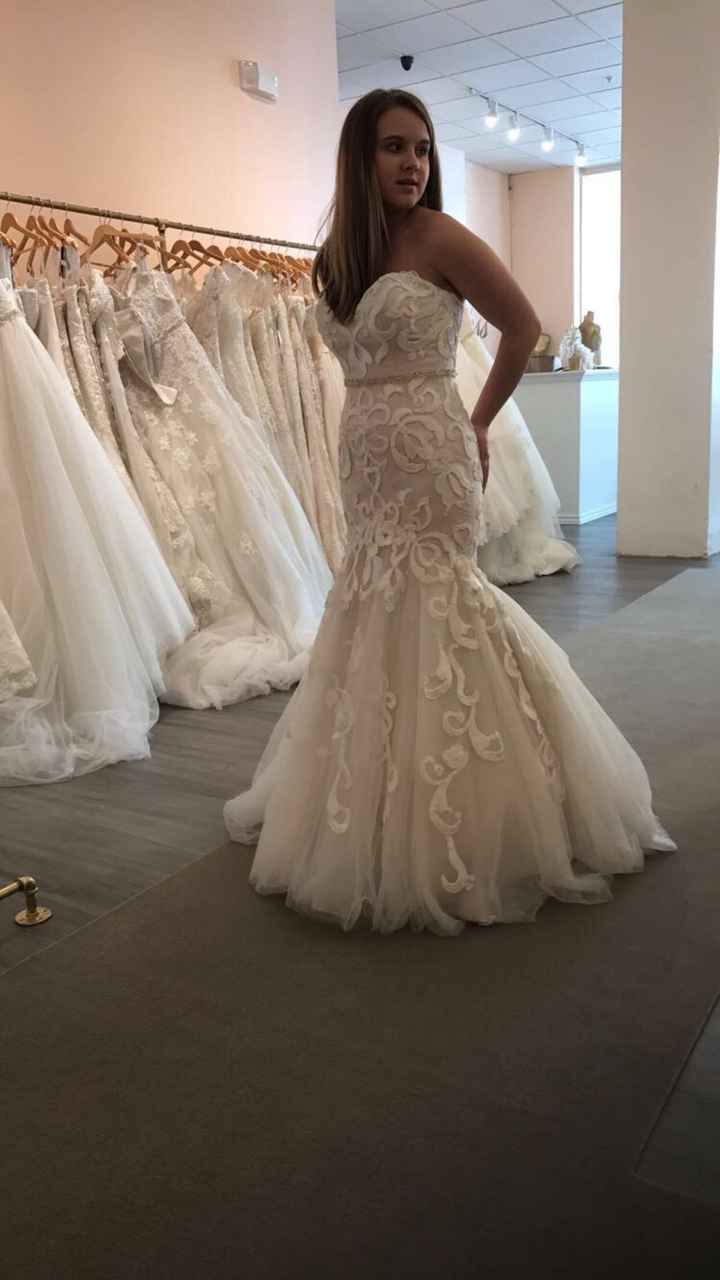  Veil or no?? - 1