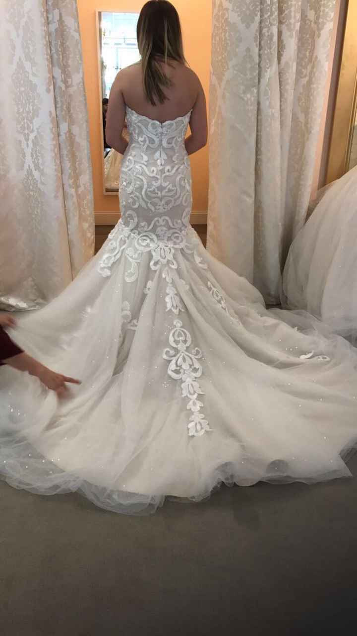  Veil or no?? - 2