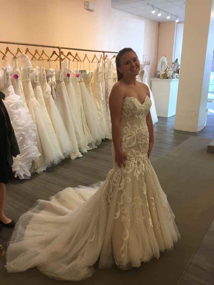 My Dress Came In!!! - Please share yours 😆 - 1