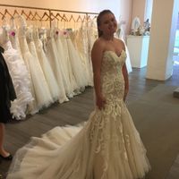 My Dress Came In!!! - Please share yours 😆 - 1
