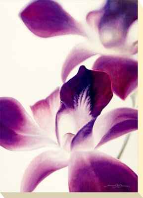 Flowers And Colors That Go Good With Orchids Weddings Planning Wedding Forums Weddingwire