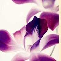 Flowers and colors that go good with orchids?