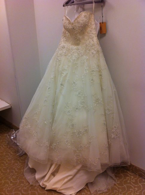 Veil or Birdcage