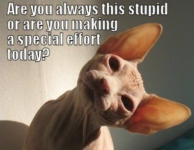 It's funny photo time!