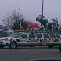 This is what happens when you leave decision making to the fiance...