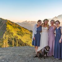 I work well with dogs and mountains.