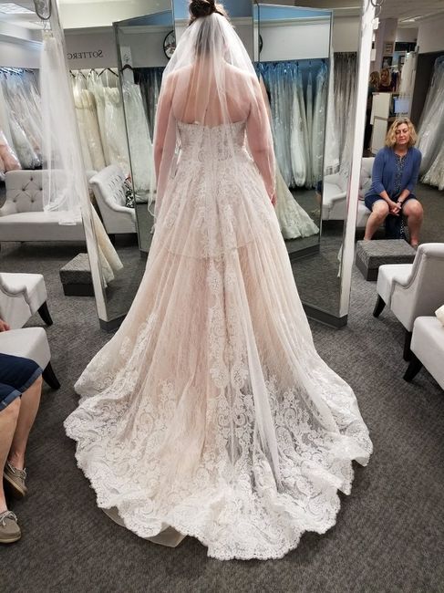 Which dress? - 2