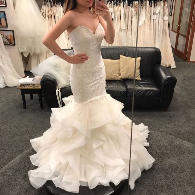 Questioning wedding dress :(