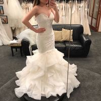 Questioning wedding dress :(