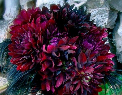 Wedding flower disaster!!!!