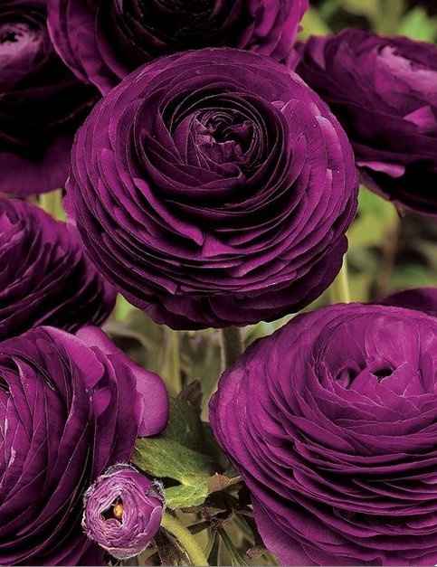 Wedding flower disaster!!!!