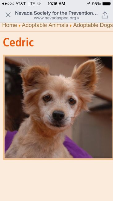 Spinoff: Show us your rescues!