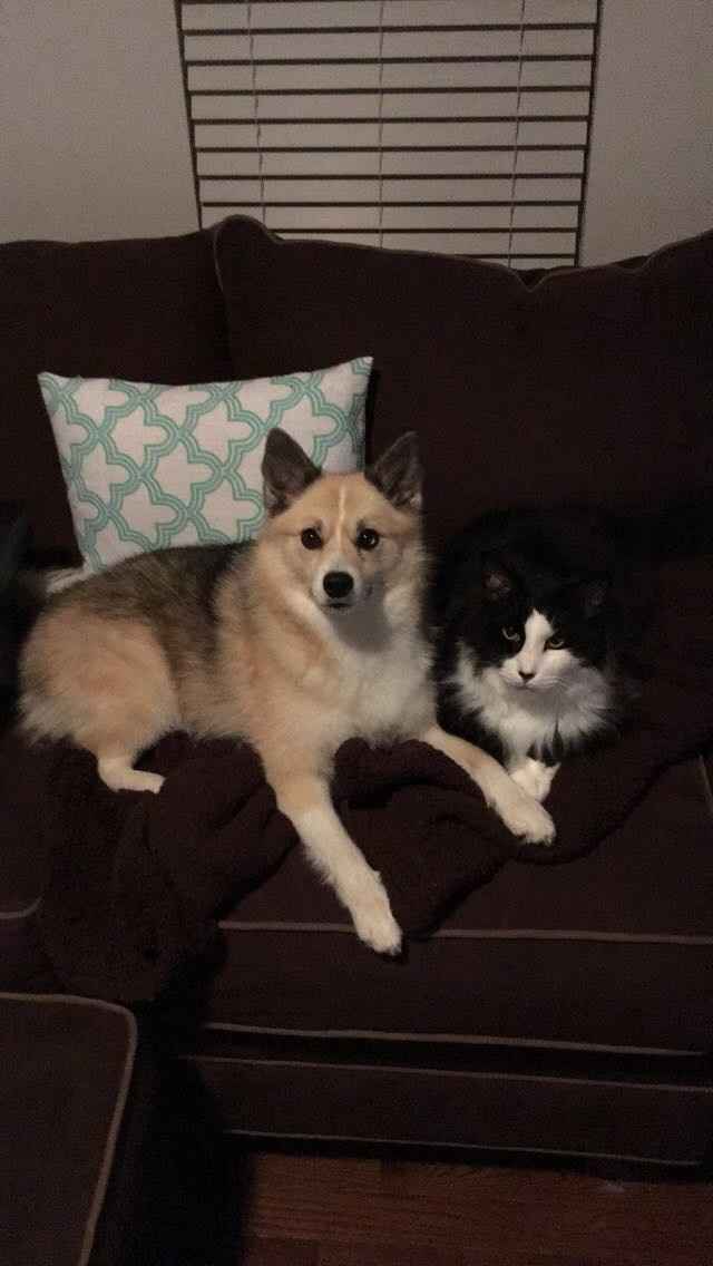 Trying to wedding plan like...