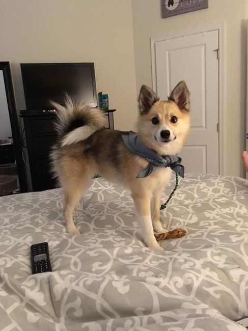 Nwr- show me your fur babies