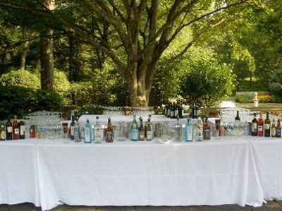 Would you have an outdoor wedding?