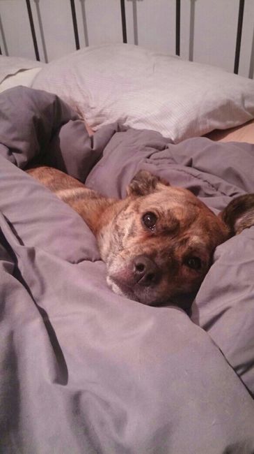NWR: you and furbaby pic!
