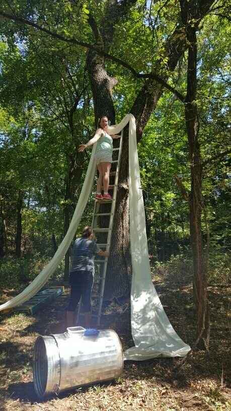 Fabric used to drape arch or arbor?