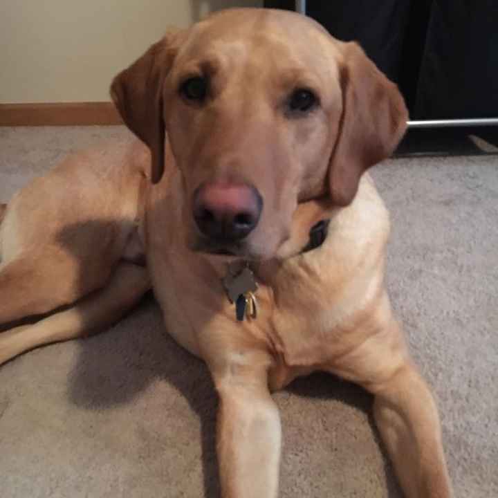 NWR: post pics of your pets!!