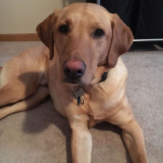 NWR: post pics of your pets!!