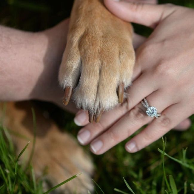 So sparkly....another ring thread.